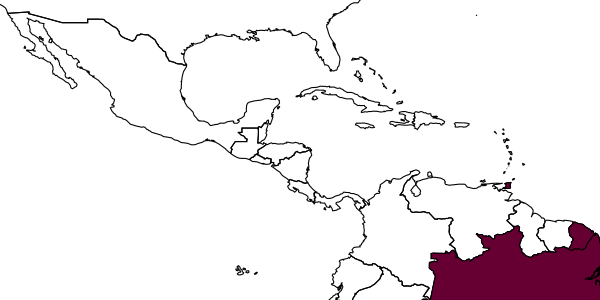 map of Anisepyris balrogi     Barbosa & Azevedo, 2018